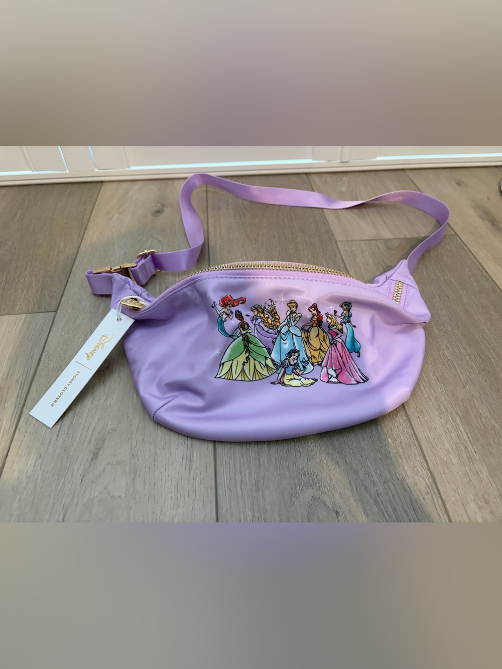NWT Stoney Clover Lane Disney Princess Jumbo Fanny Bag with Princess Artwork